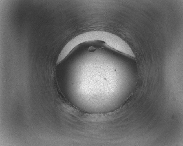 X0000068840037200606021720