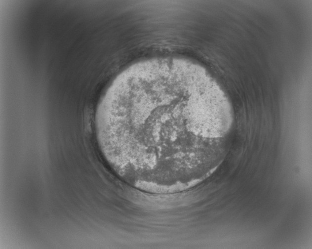 X0000068840038200606021720