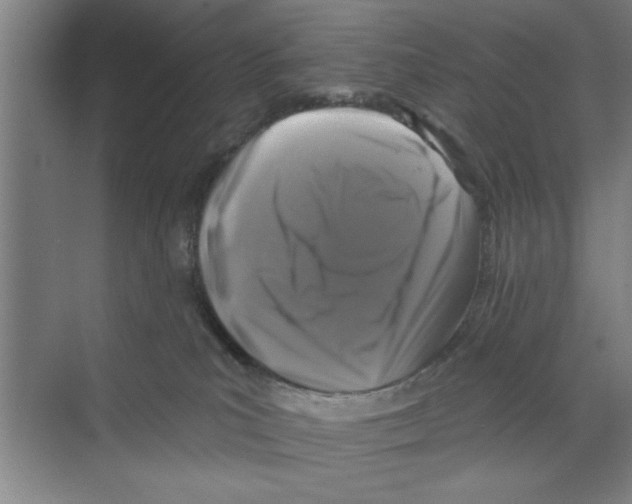 X0000068840039200606021720