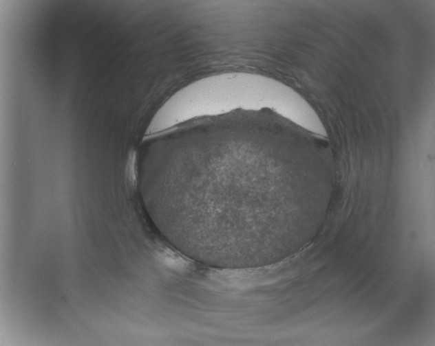 X0000068840041200606021720