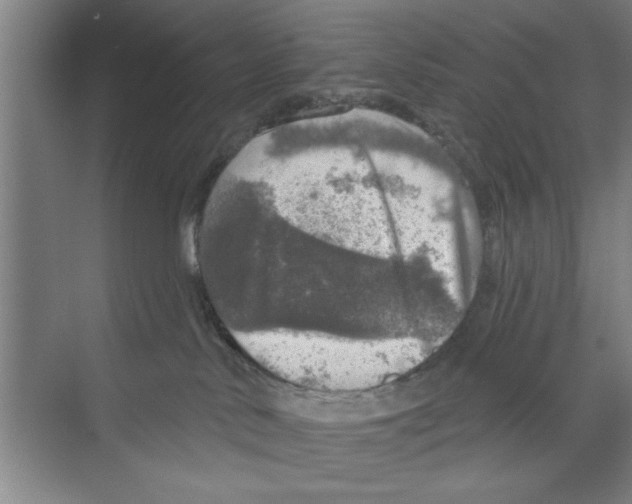 X0000068840042200606021720