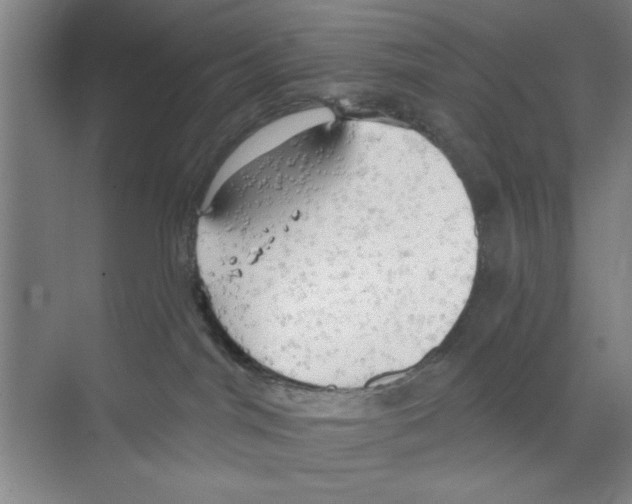 X0000068840044200606021720