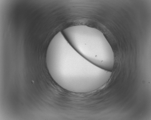 X0000068840045200606021720