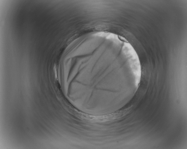 X0000068840046200606021720