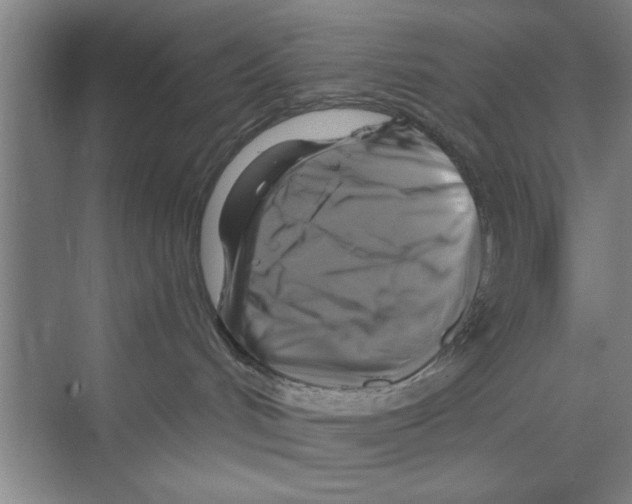 X0000068840048200606021720