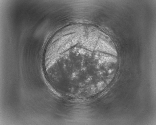 X0000068840049200606021719