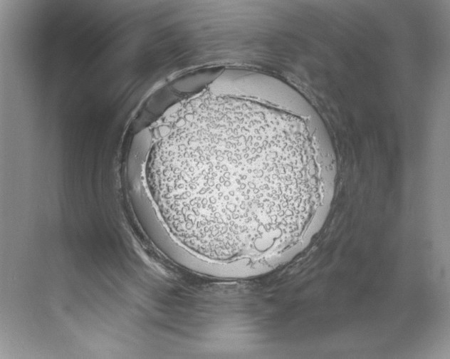 X0000068840050200606021719