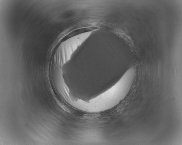 X0000068840051200606021719