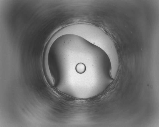 X0000068840052200606021719