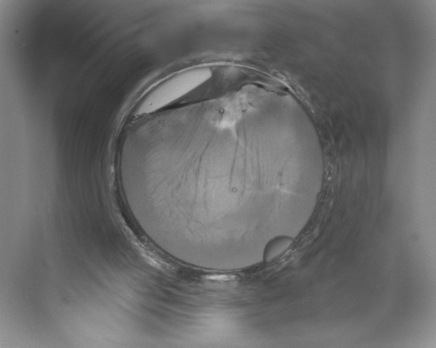 X0000068840053200606021719