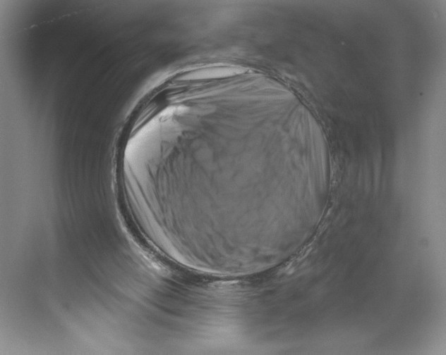 X0000068840054200606021719