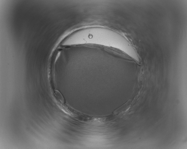 X0000068840056200606021719