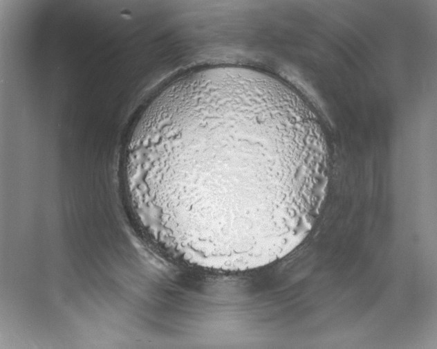 X0000068840058200606021719