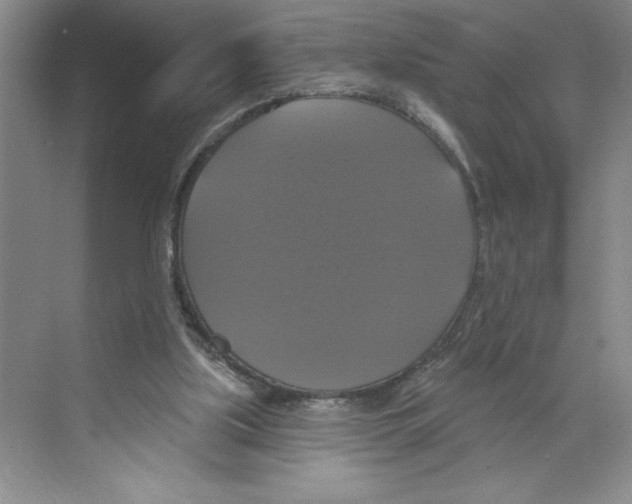 X0000068840059200606021719