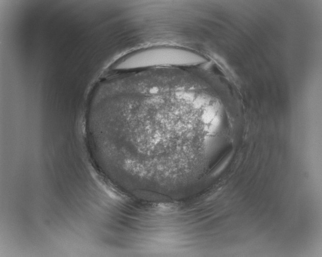 X0000068840060200606021719