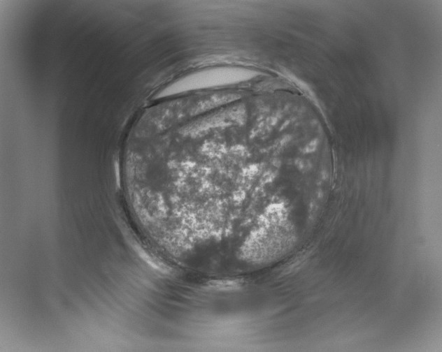 X0000068840061200606021719