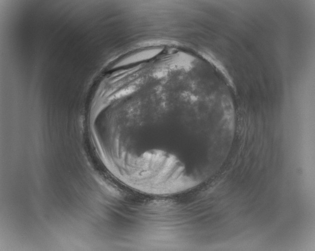 X0000068840063200606021719