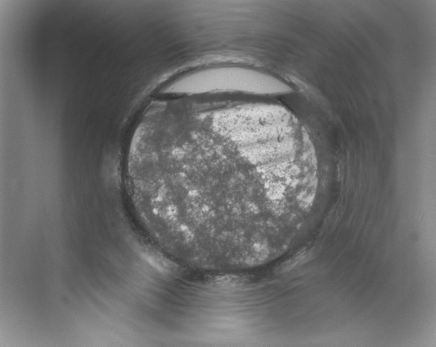 X0000068840064200606021719