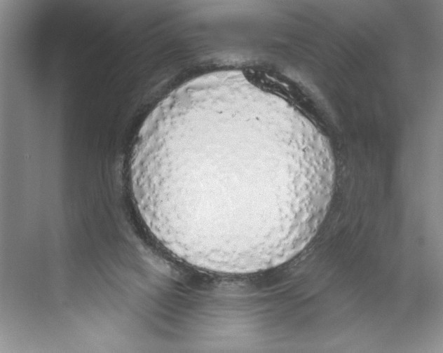 X0000068840066200606021719