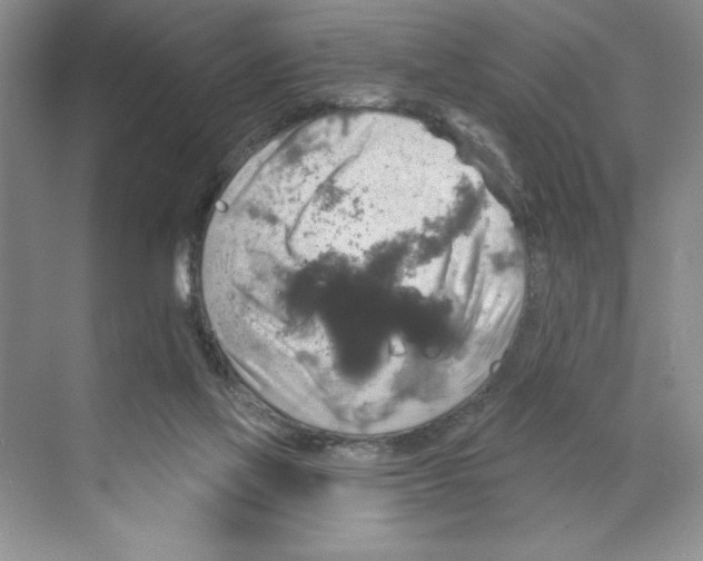 X0000068840069200606021720