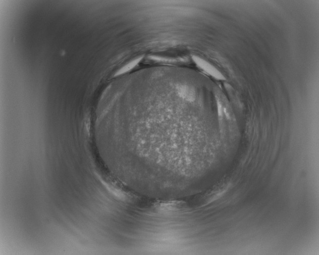 X0000068840072200606021720