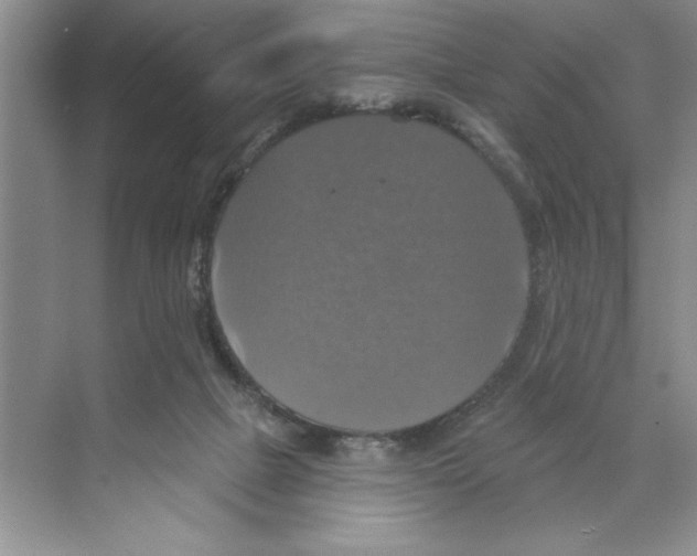 X0000068840073200606021720