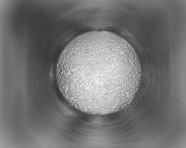 X0000068840074200606021720