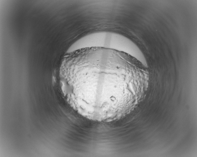 X0000068840075200606021720