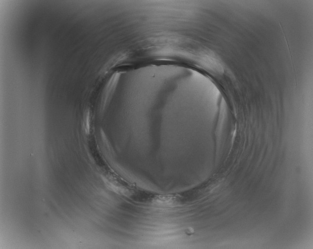 X0000068840076200606021720