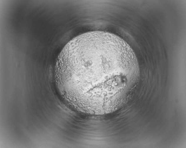 X0000068840077200606021720