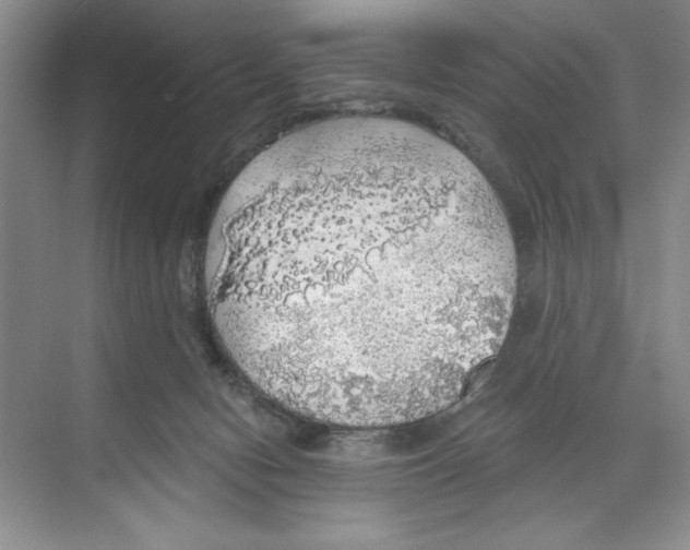 X0000068840078200606021720