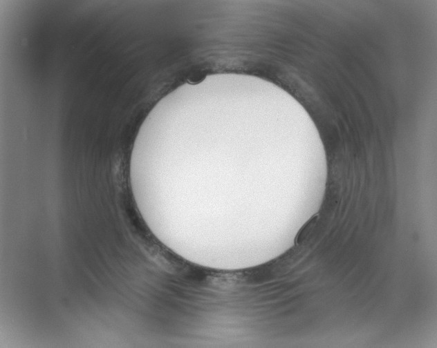 X0000068840079200606021720