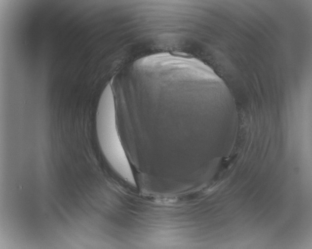 X0000068840080200606021720