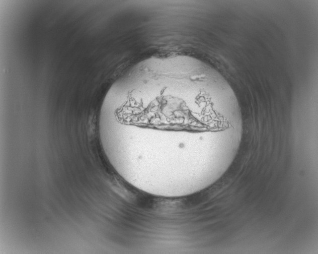 X0000068840081200606021720