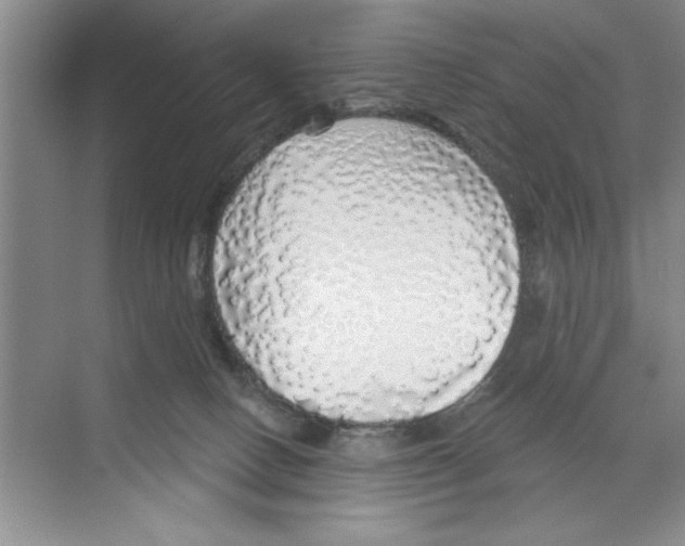 X0000068840082200606021720