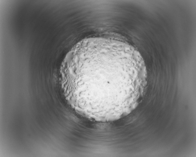 X0000068840085200606021720