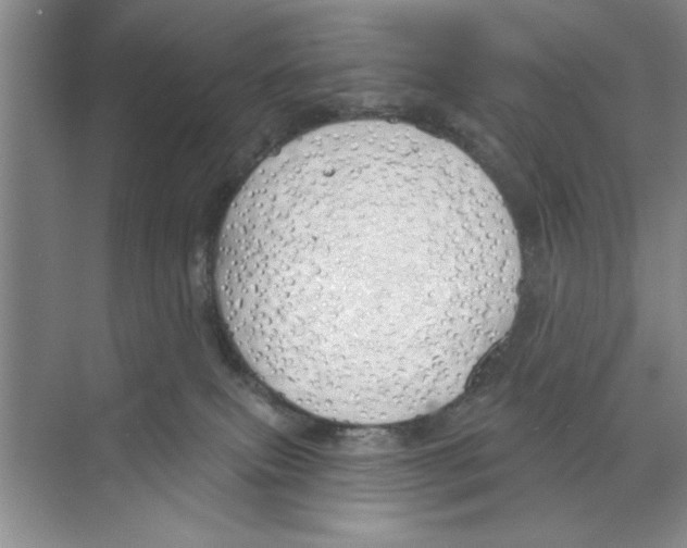 X0000068840087200606021720