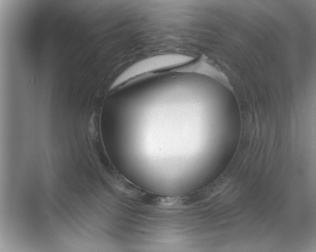 X0000068840088200606021720