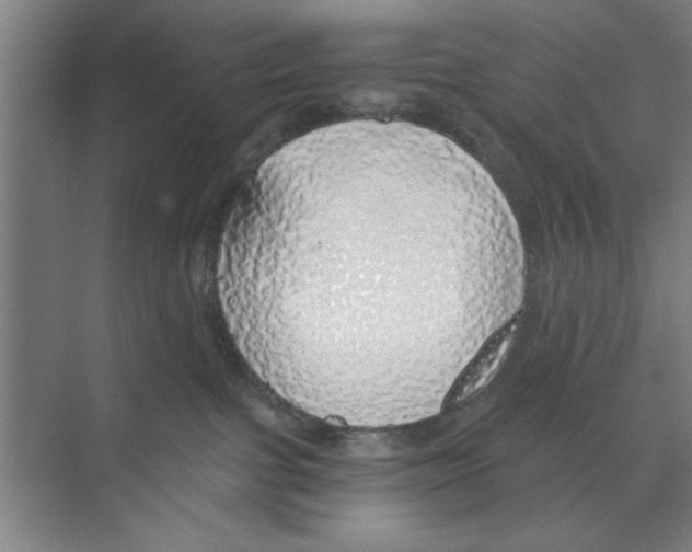 X0000068840091200606021720