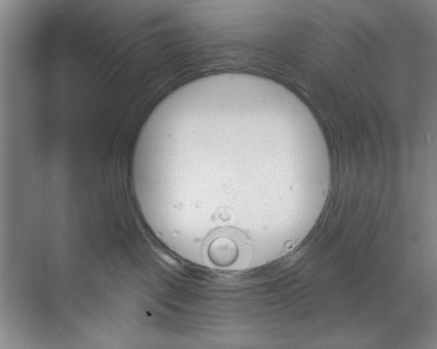 X0000068840093200606021720