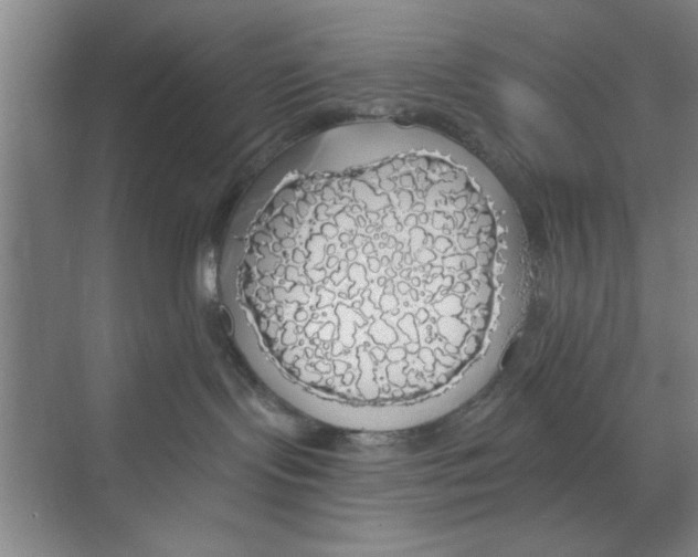 X0000068840095200606021720