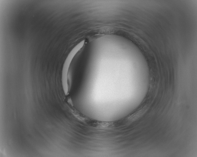 X0000068840096200606021720