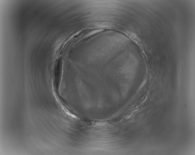 X0000068840097200606021719