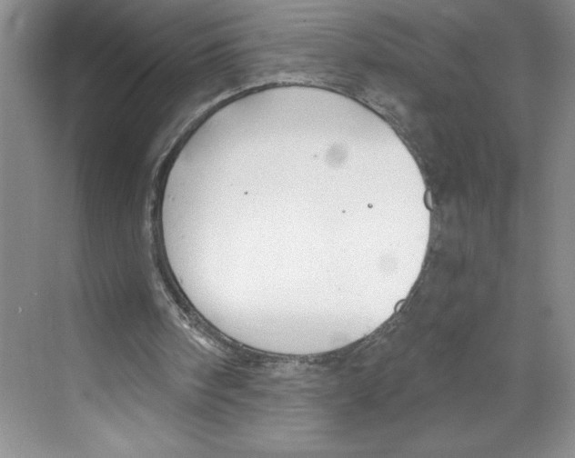 X0000068840098200606021719