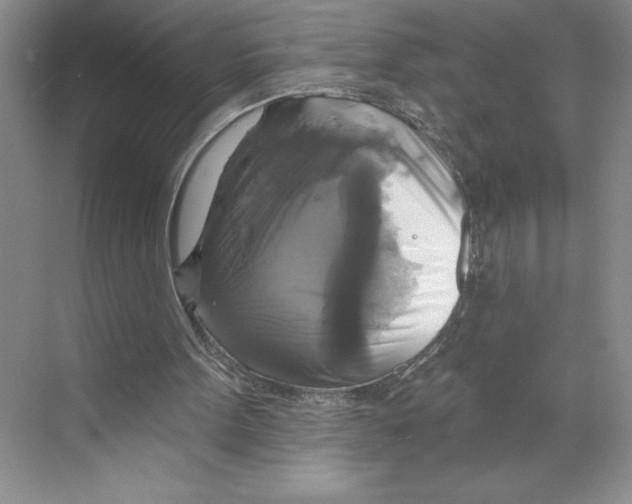 X0000068840099200606021719