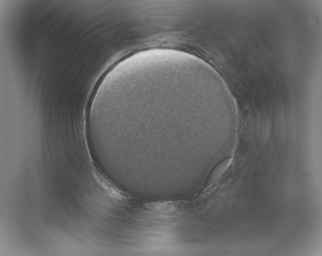 X0000068840100200606021719