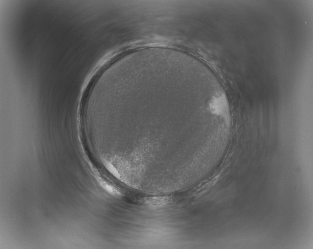 X0000068840102200606021719