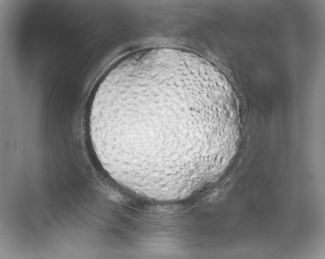 X0000068840103200606021719