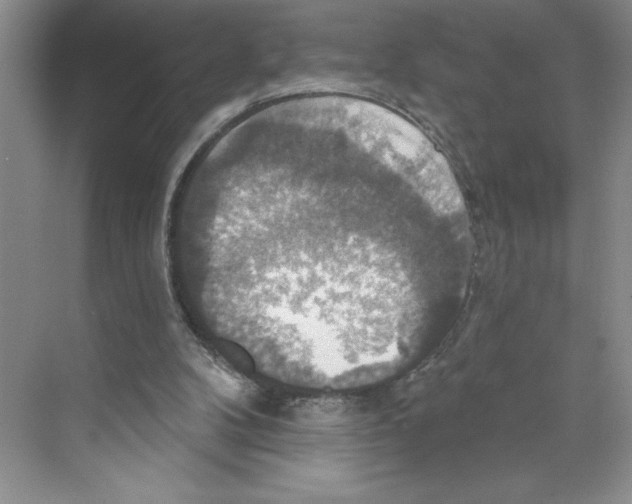 X0000068840104200606021719