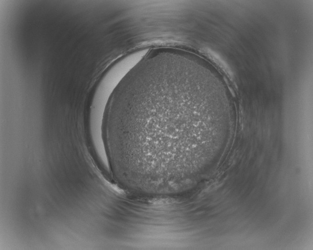 X0000068840105200606021719